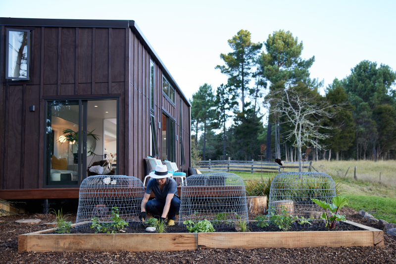Tiny House Hub New Zealand Tiny Home Information and Resources